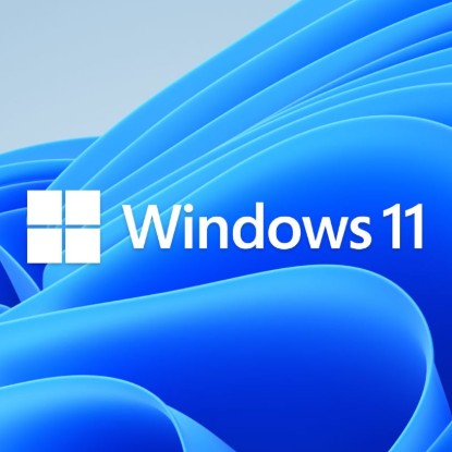 Picture of Microsoft Windows 11 Home DSP