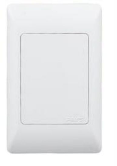 Picture of Noble Pays 4x2 Blank Cover Plate