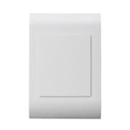 Picture of Lesco Pipelli Blank Cover Plate