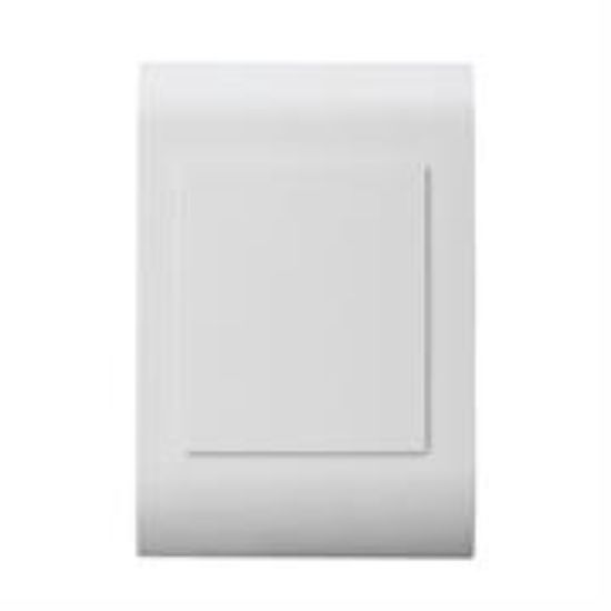 Picture of Lesco Pipelli Blank Cover Plate
