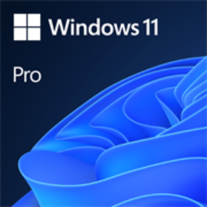 Picture of Microsoft windows 11 license DVD Single User License