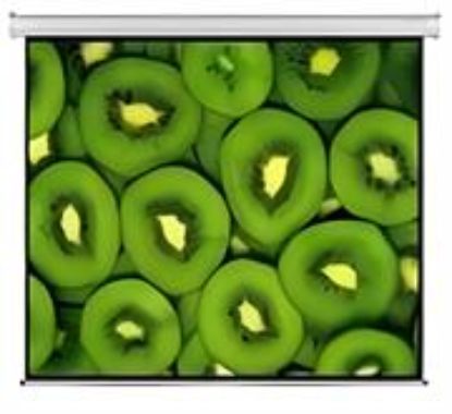Picture of Esquire Electric Projector Screen 300 X 169