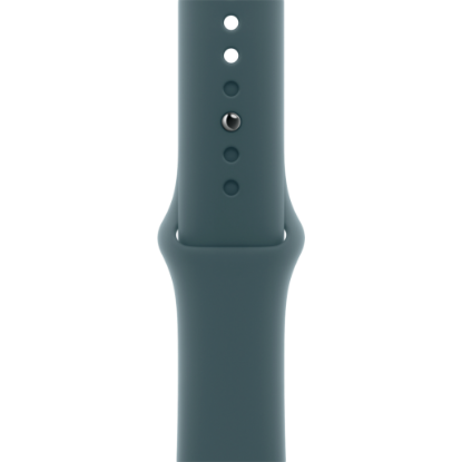 Picture of APPLE 42mm Lake Green Sport Band - M/L