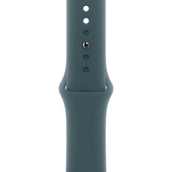 Picture of APPLE 42mm Lake Green Sport Band - S/M