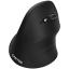 Picture of CANYON CANYON mouse MW-16 Vertical Wireless Black