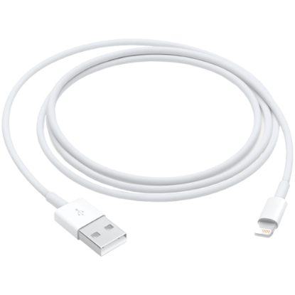 Picture of APPLE Out of Box Lightning to USB Cable (1m),Model A1480